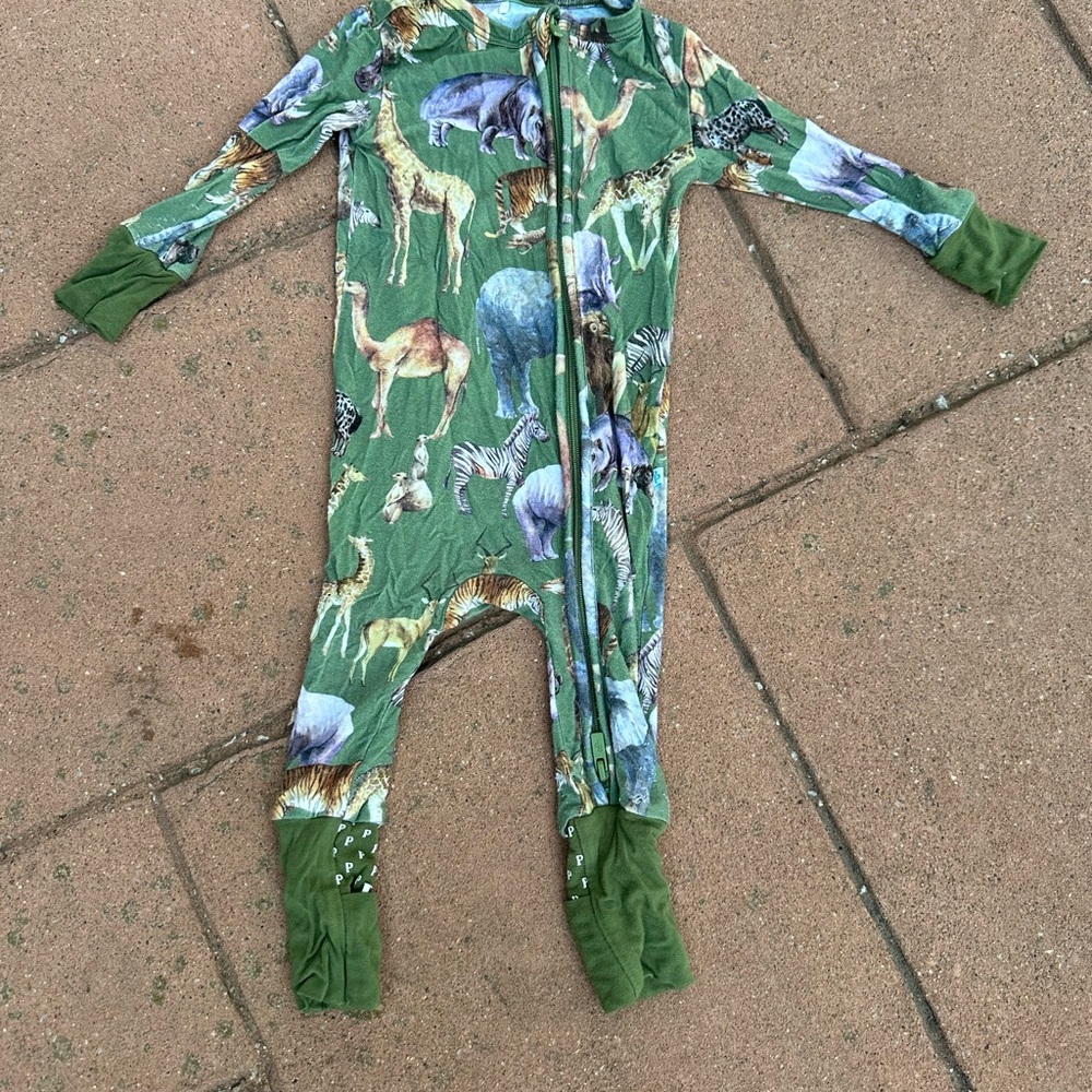 Posh Peanut Safari Adventure Green Footie